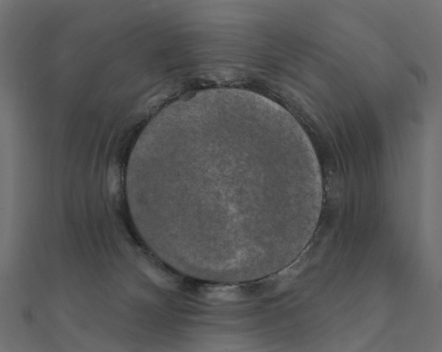 X0000111240132200907301314