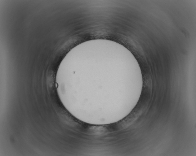 X0000111240133200907301314