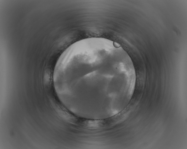 X0000111240134200907301314