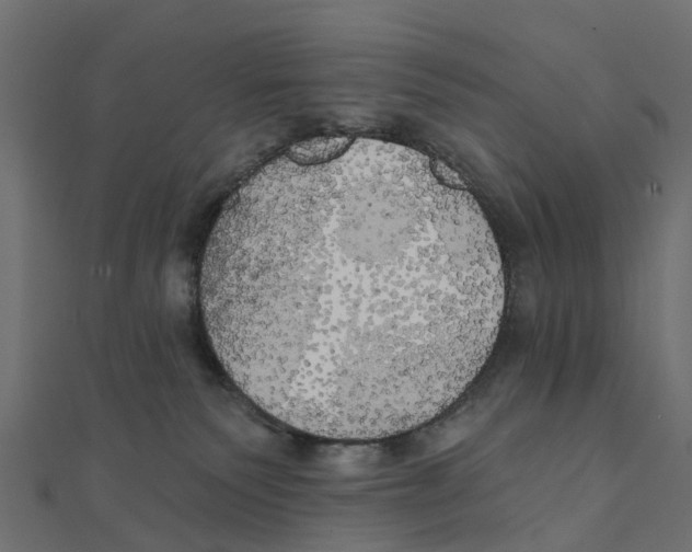 X0000111240135200907301314