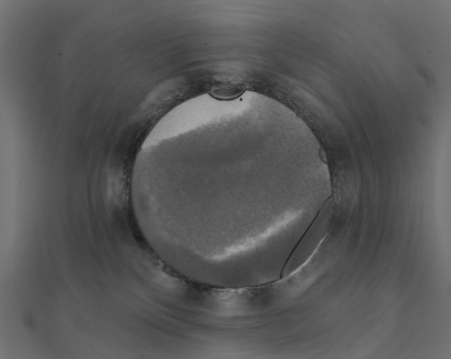 X0000111240136200907301314