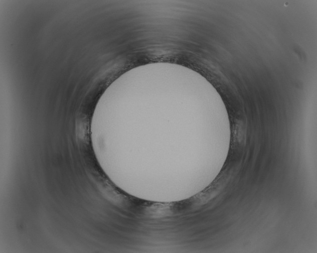 X0000111240138200907301314