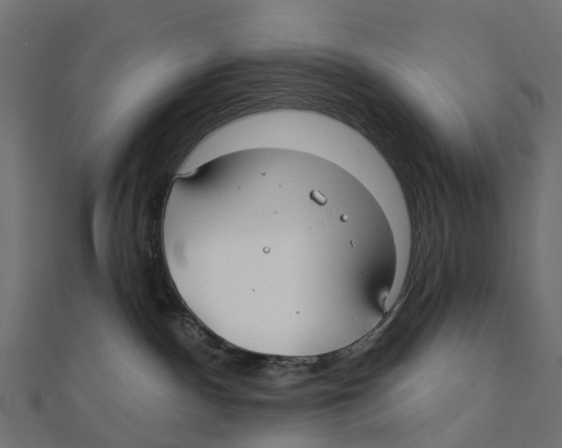 X0000111240140200907301314