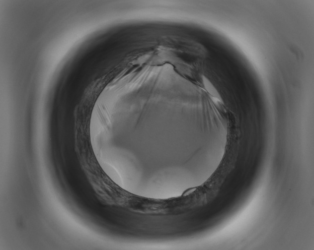 X0000111240143200907301314