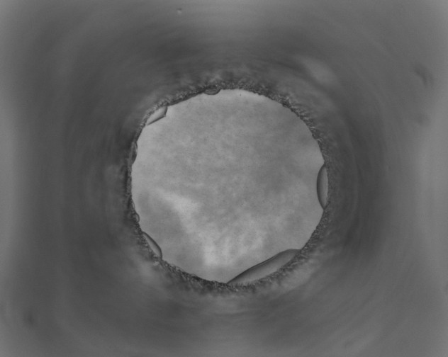 X0000111240144200907301314