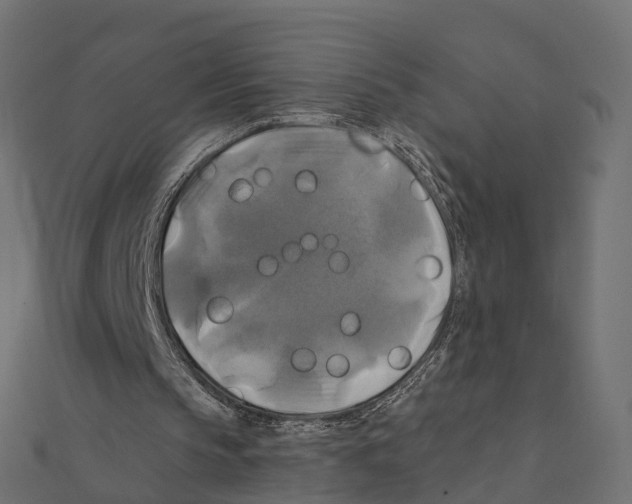 X0000111240145200907301313