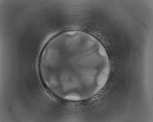 X0000111240147200907301313