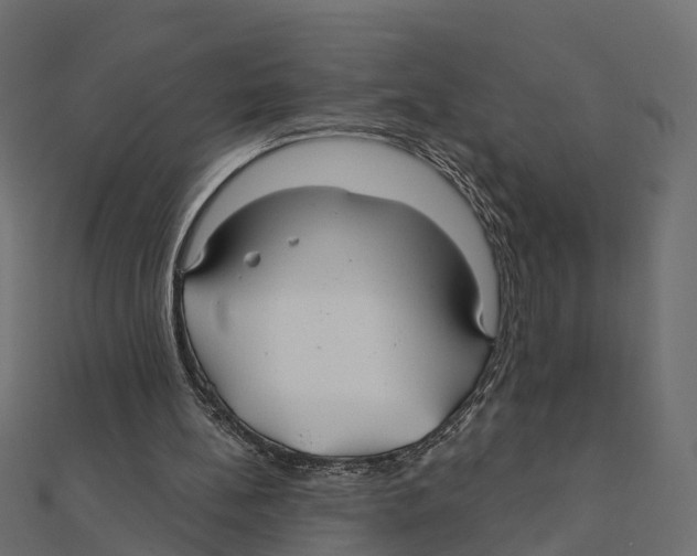 X0000111240148200907301313