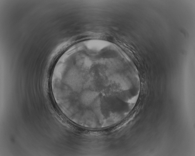 X0000111240149200907301313