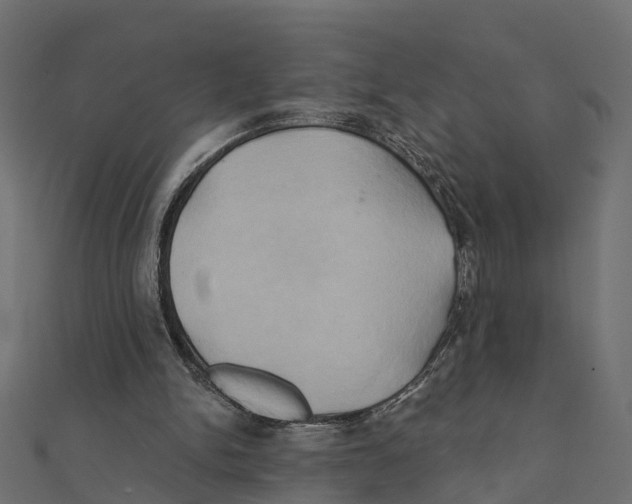 X0000111240150200907301313