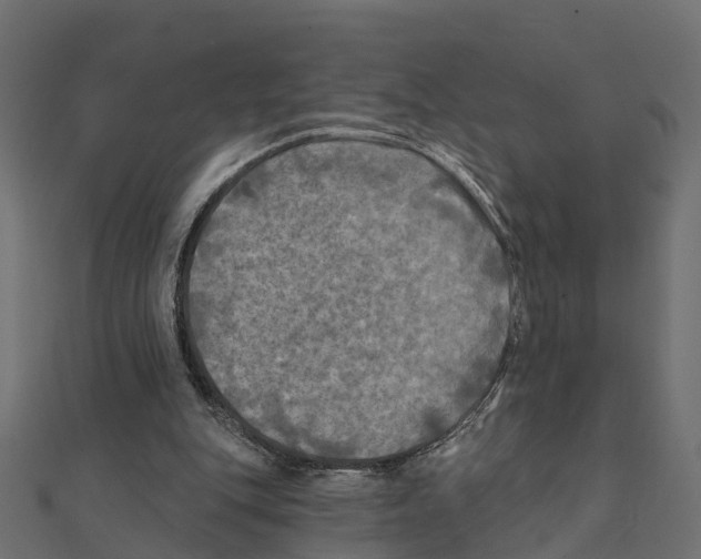 X0000111240151200907301313