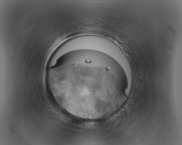 X0000111240152200907301313
