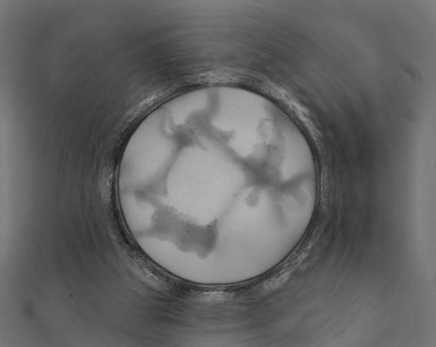 X0000111240153200907301313