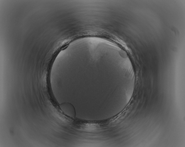 X0000111240154200907301313