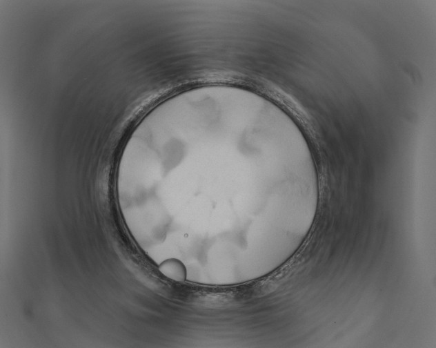 X0000111240155200907301313