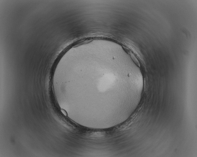 X0000111240156200907301313