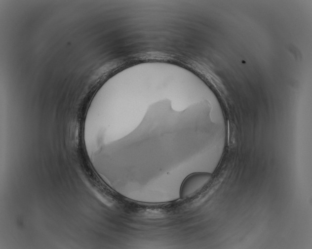 X0000111240157200907301313