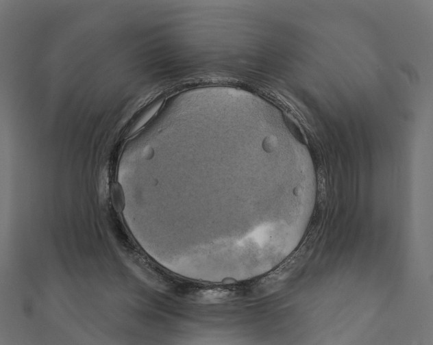 X0000111240158200907301313