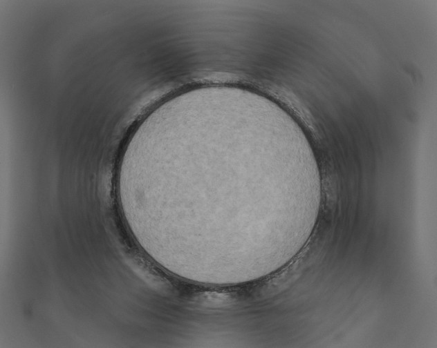 X0000111240159200907301313