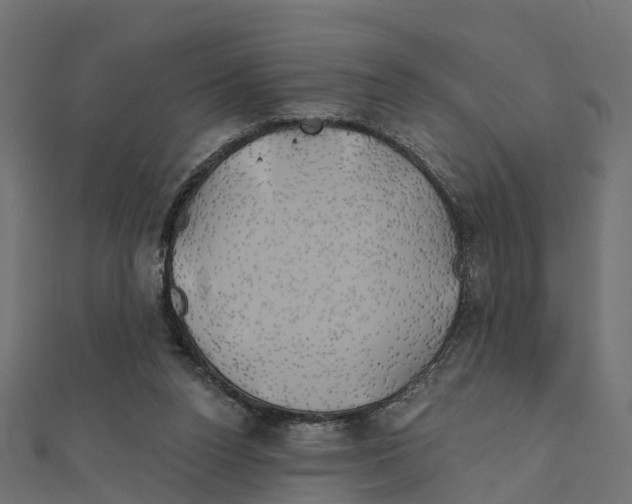 X0000111240160200907301313