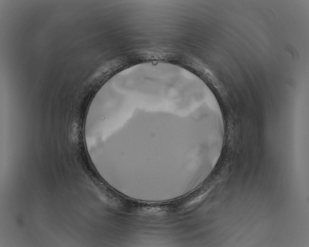 X0000111240161200907301313