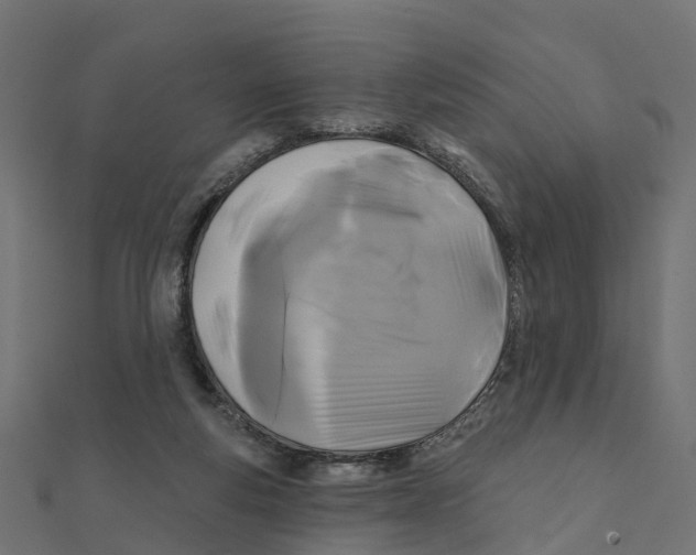 X0000111240163200907301313