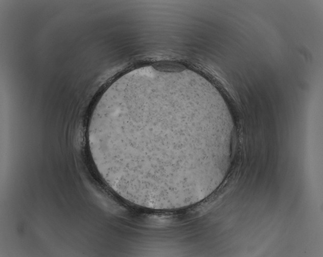 X0000111240164200907301313
