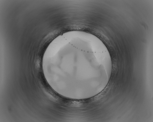 X0000111240166200907301313