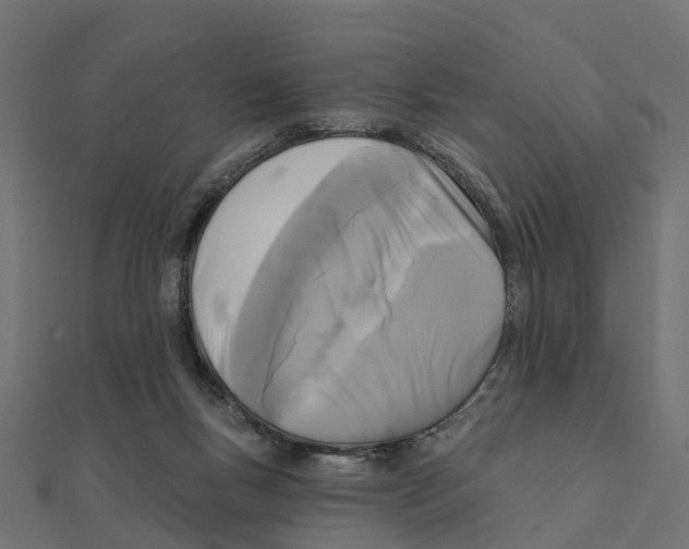 X0000111240167200907301313