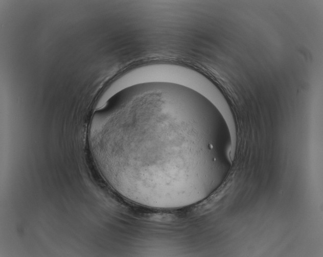 X0000111240168200907301313