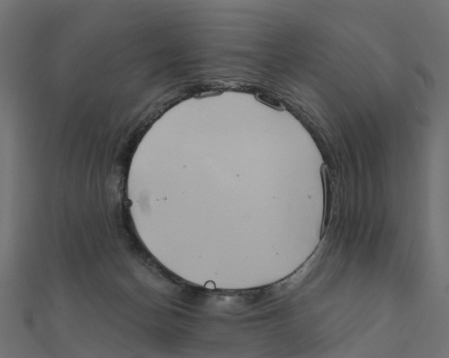 X0000111240174200907301314