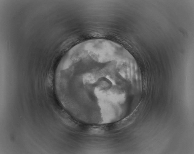 X0000111240175200907301314