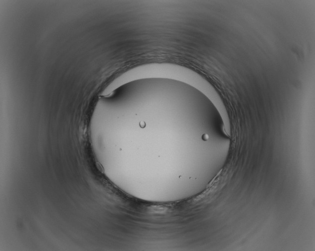 X0000111240176200907301314