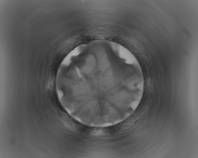 X0000111240177200907301314