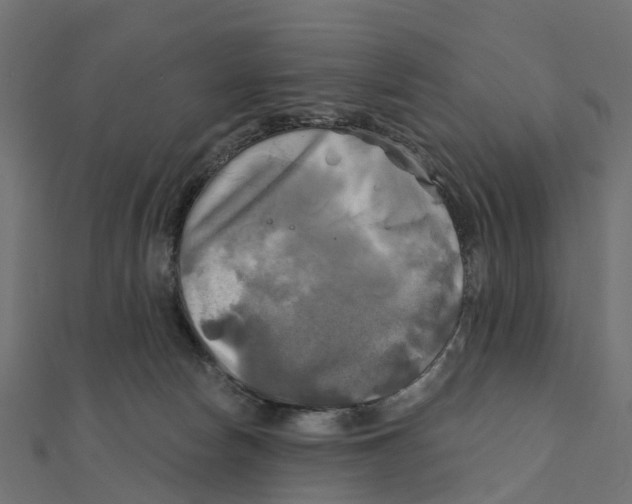 X0000111240178200907301314