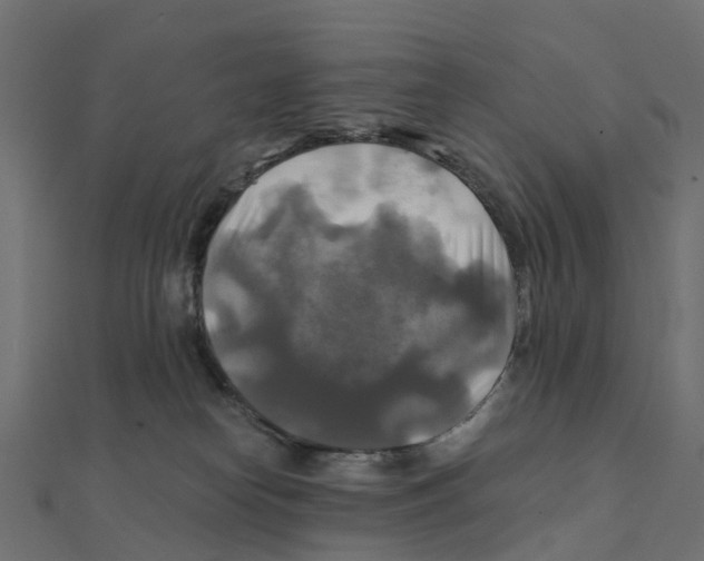 X0000111240182200907301314