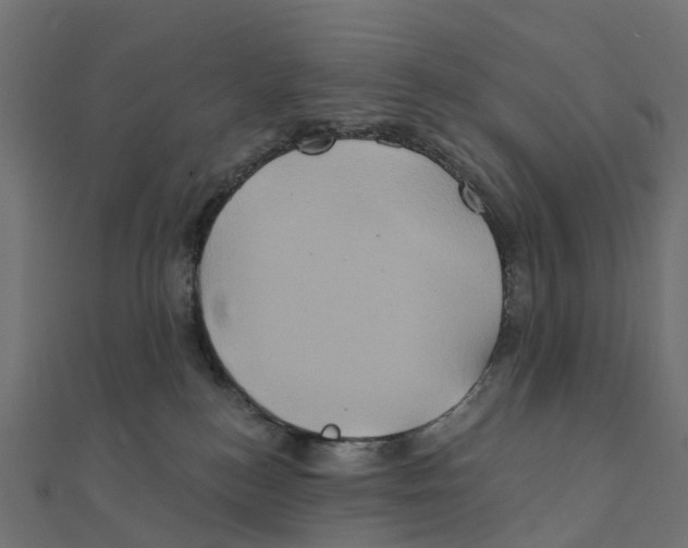 X0000111240184200907301314