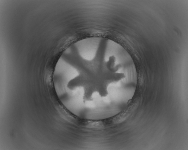 X0000111240185200907301314