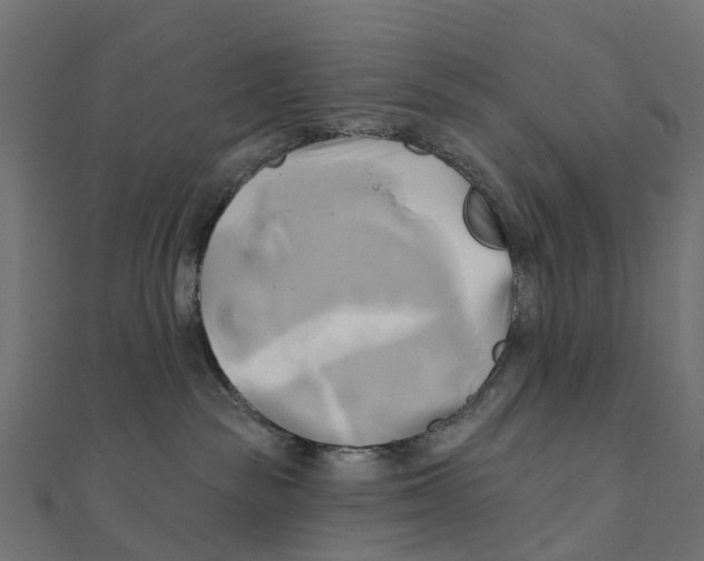X0000111240189200907301314