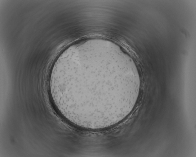 X0000111240193200907301313