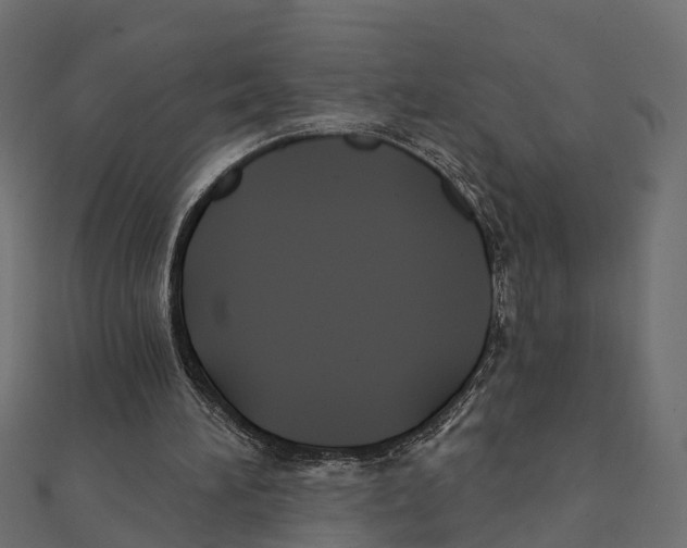 X0000111240196200907301313