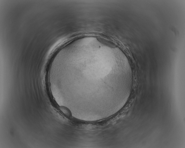 X0000111240197200907301313