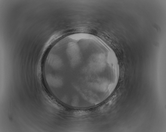 X0000111240198200907301313