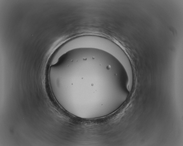 X0000111240199200907301313