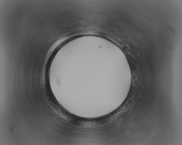 X0000111240200200907301313