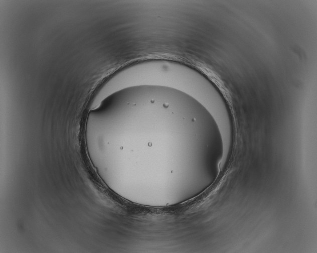X0000111240201200907301313