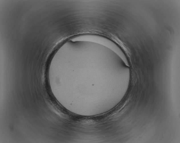 X0000111240203200907301313
