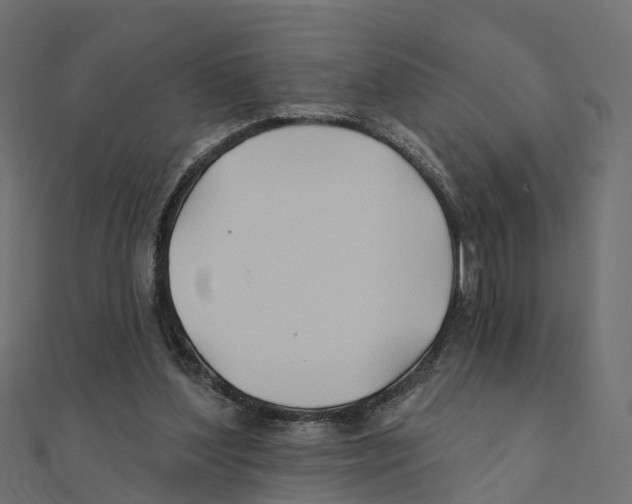 X0000111240204200907301313