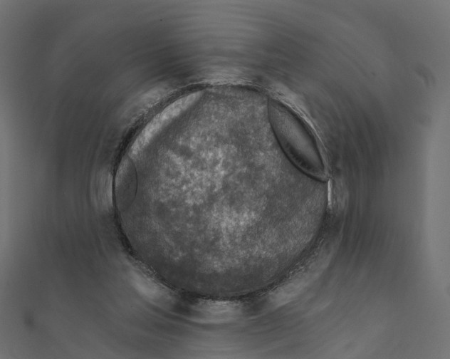 X0000111240205200907301313