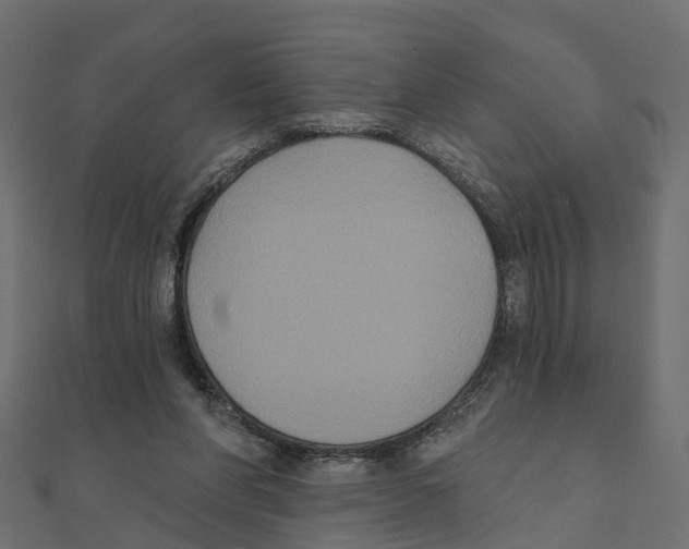 X0000111240206200907301313